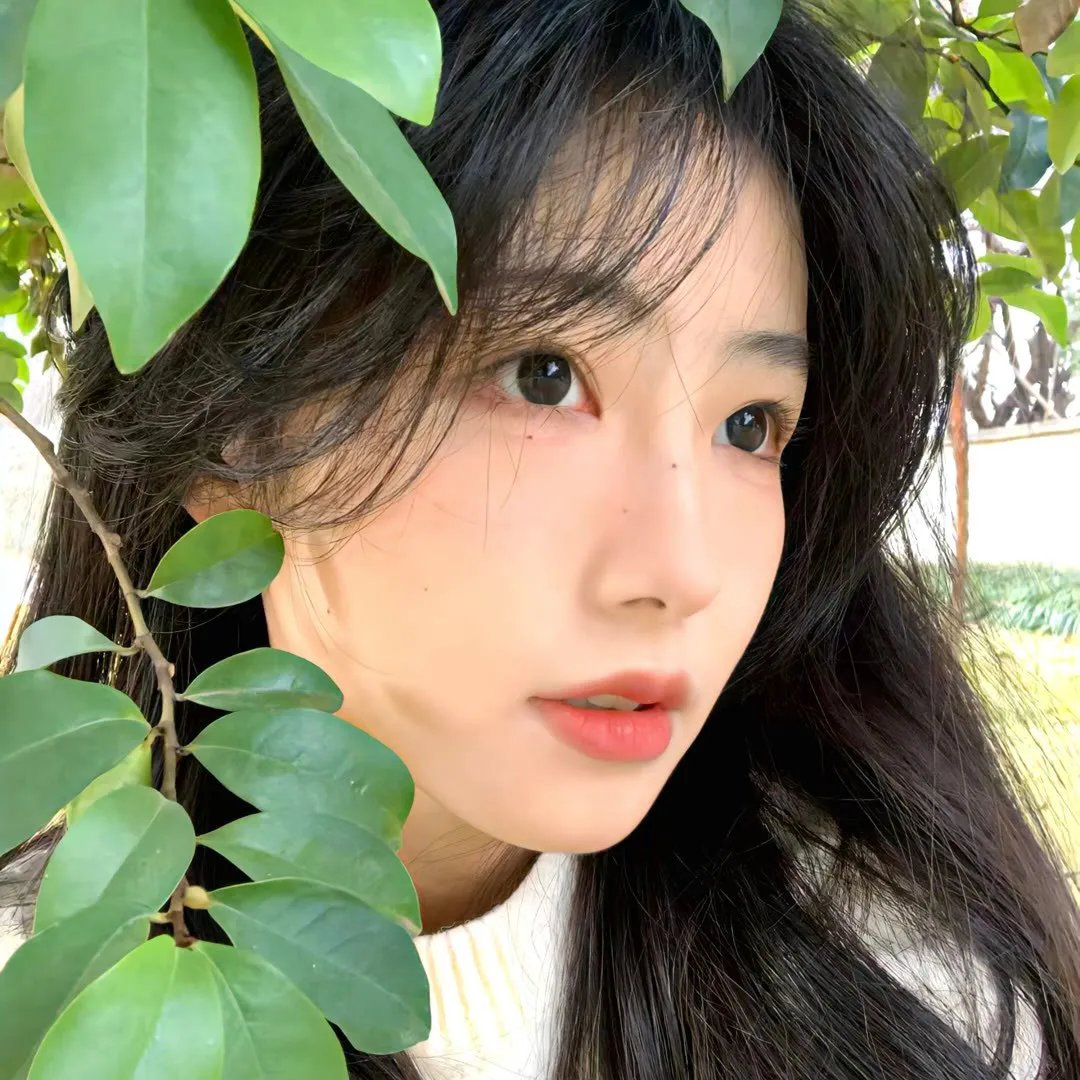 湘西往事封面